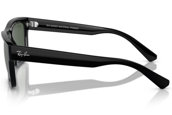 Ray-Ban 4396 SOLE 667771