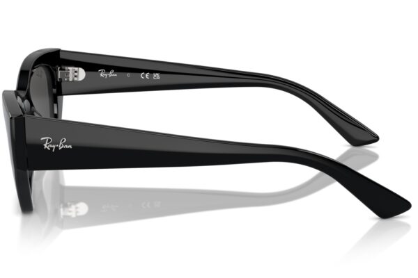 Ray-Ban 4430 SOLE 667787