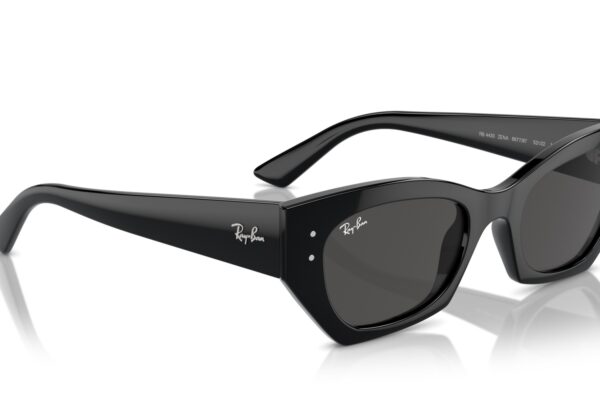 Ray-Ban 4430 SOLE 667787