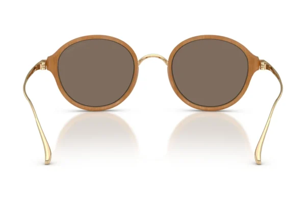 Giorgio Armani 6174T SOLE 341873