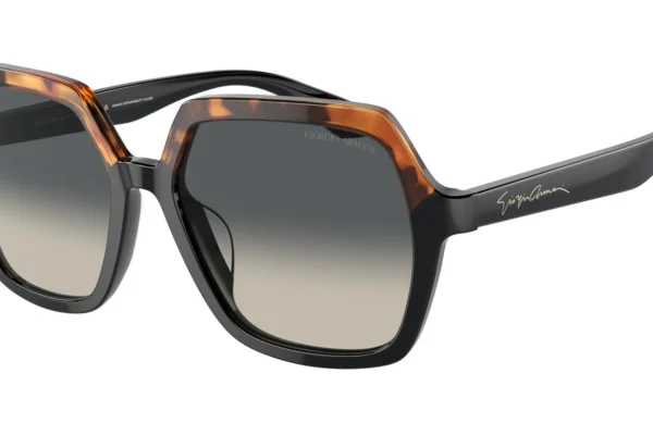 Giorgio Armani 8193U SOLE 587519