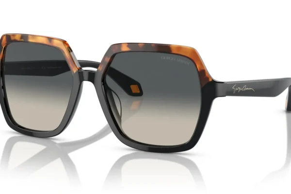 Giorgio Armani 8193U SOLE 587519