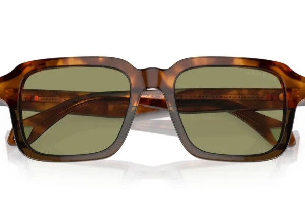 Giorgio Armani 8194U SOLE 598814