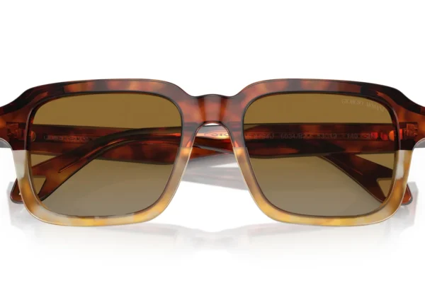 Giorgio Armani 8194U SOLE 6034B2