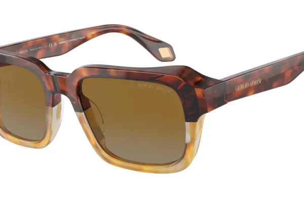 Giorgio Armani 8194U SOLE 6034B2