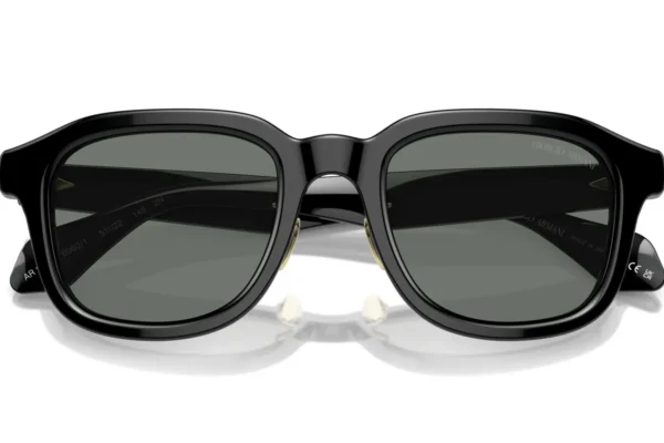 Giorgio Armani 8206 SOLE 6060/1