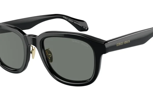 Giorgio Armani 8206 SOLE 6060/1