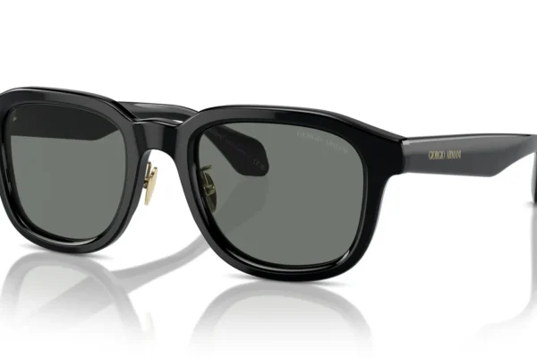 Giorgio Armani 8206 SOLE 6060/1