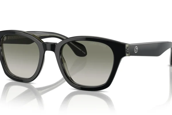 Giorgio Armani 8207 SOLE 60873M