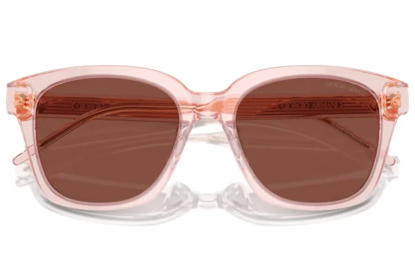 Giorgio Armani 8210U SOLE 6073C5