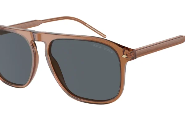 Giorgio Armani 8212 SOLE 5932R5