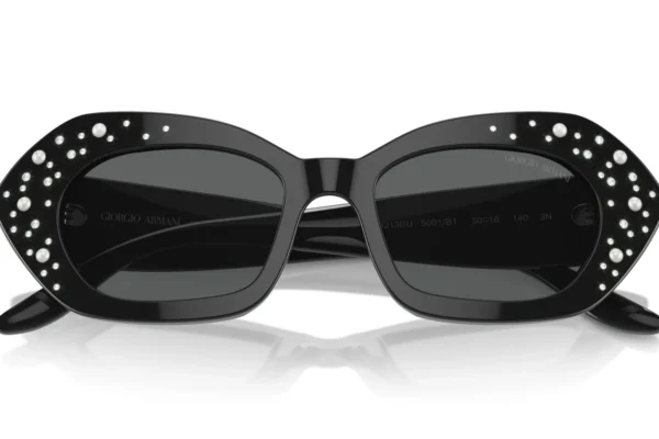 Giorgio Armani 8213BU SOLE 5001B1