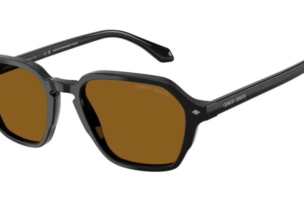 Giorgio Armani 8220 SOLE 587553