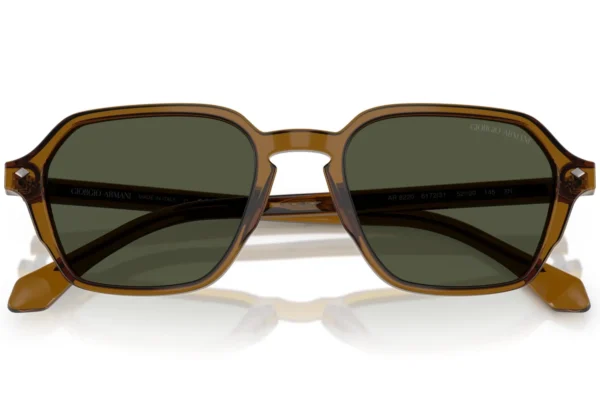 Giorgio Armani 8220 SOLE 617231