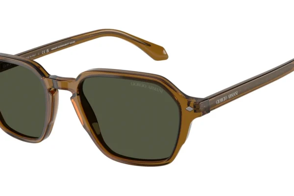 Giorgio Armani 8220 SOLE 617231