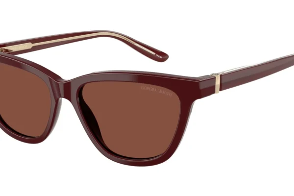 Giorgio Armani 8221 SOLE 5955C5