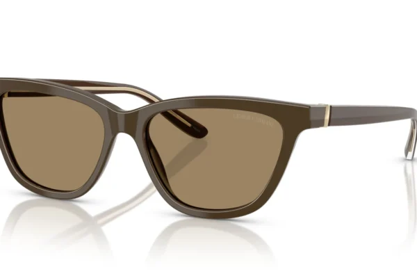 Giorgio Armani 8221 SOLE 595753