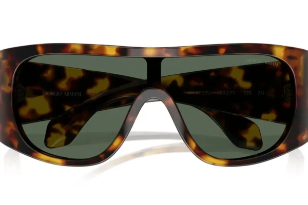 Giorgio Armani 8222U SOLE 509271