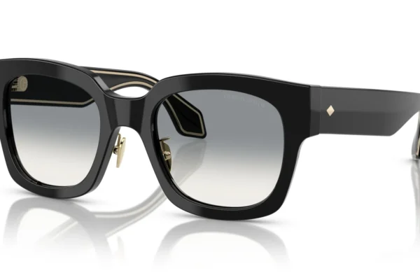 Giorgio Armani 8223 SOLE 500111