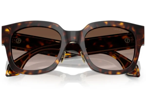 Giorgio Armani 8223 SOLE 502613