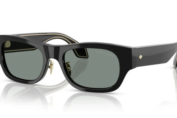 Giorgio Armani 8224 SOLE 500111