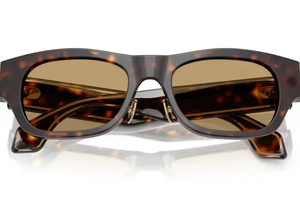 Giorgio Armani 8224 SOLE 502673