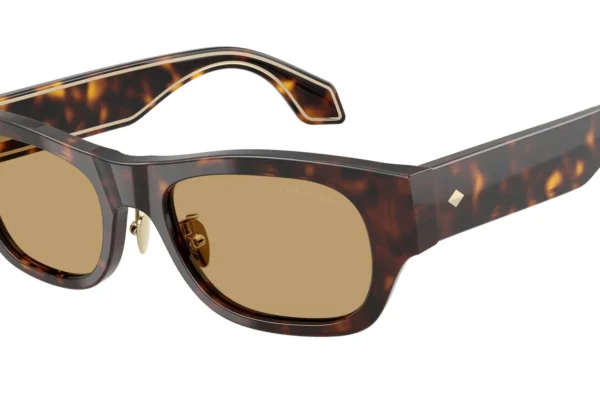 Giorgio Armani 8224 SOLE 502673