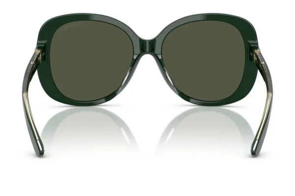 Giorgio Armani 8229U SOLE 617331