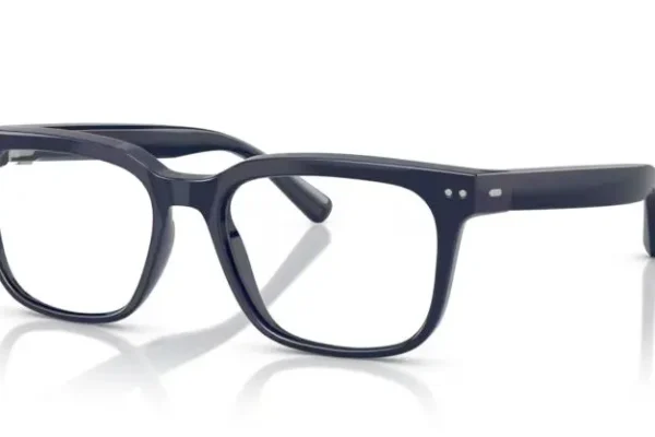 Nuance Audio 5001 AUDIO 09