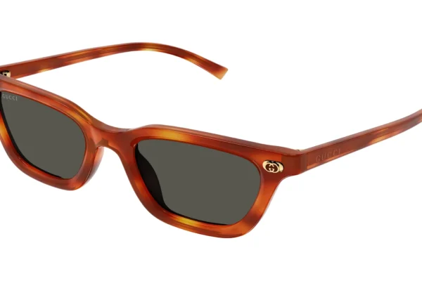 Gucci GG1944S 002 havana havana grey