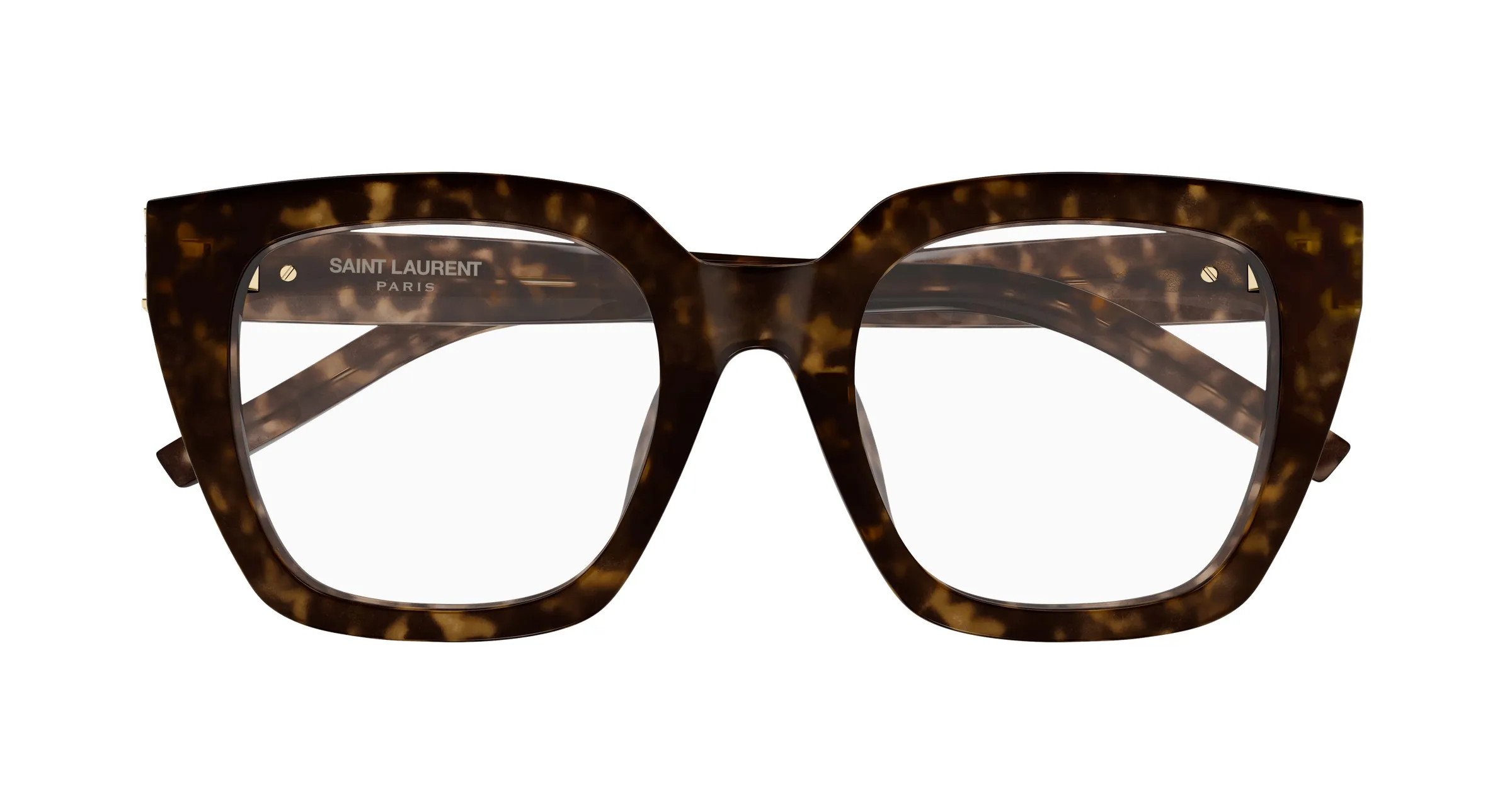 Saint Laurent SL M143 OPT 002 havana havana transpa