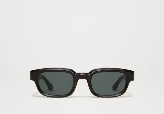 Chimi Alter.2 Tortoise tortoise