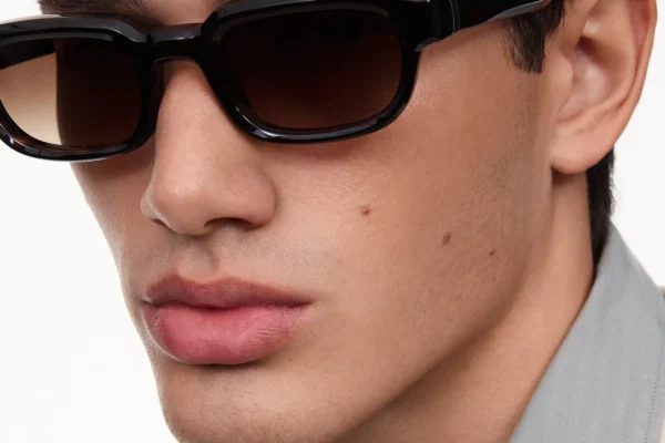 Chimi Alter.2 Tortoise tortoise