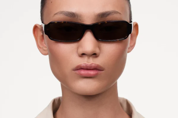 Chimi Bon Tortoise tortoise