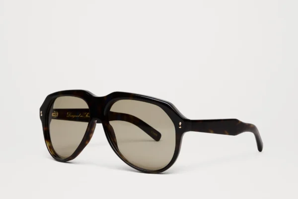 Chimi Caine Tortoise tortoise