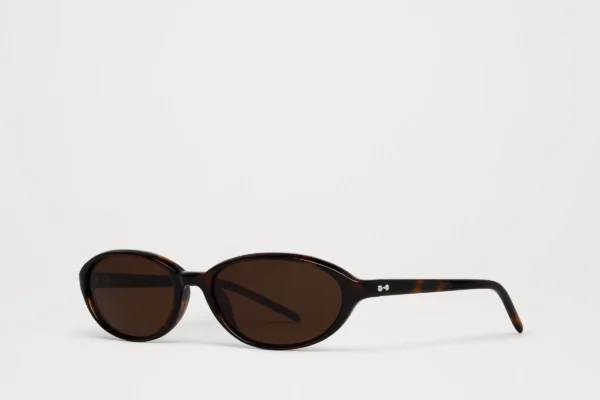 Chimi Elipse Tortoise tortoise