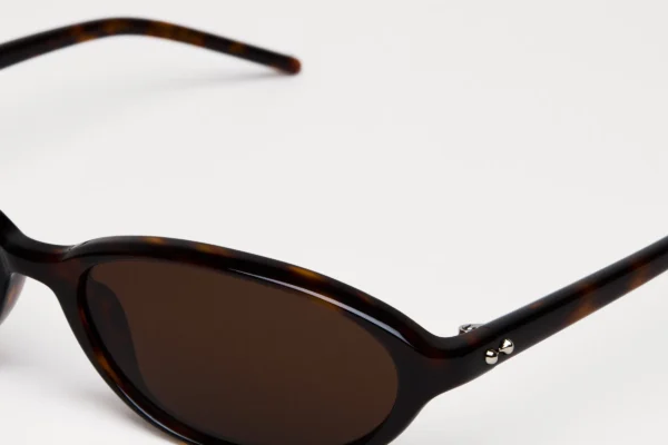 Chimi Elipse Tortoise tortoise