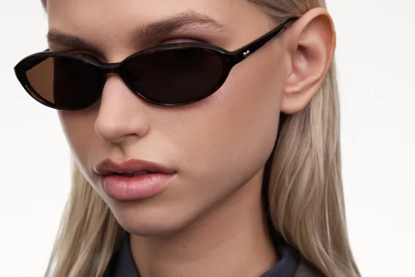 Chimi Elipse Tortoise tortoise