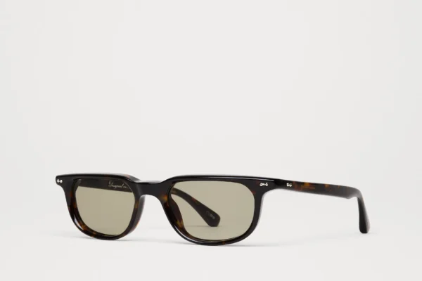 Chimi Novis Tortoise tortoise