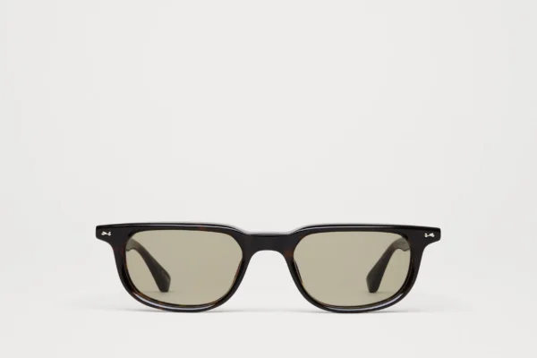 Chimi Novis Tortoise tortoise