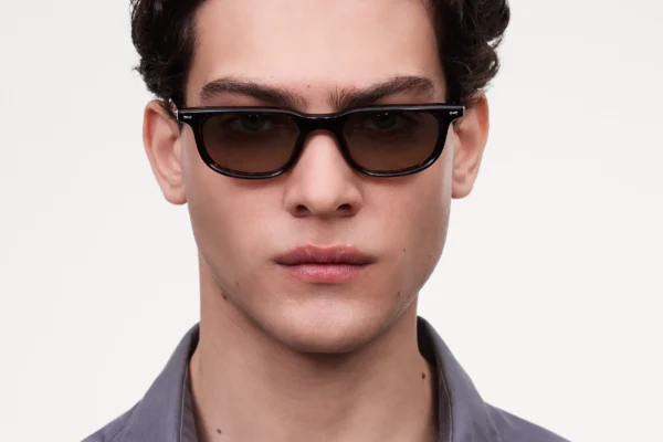 Chimi Novis Tortoise tortoise