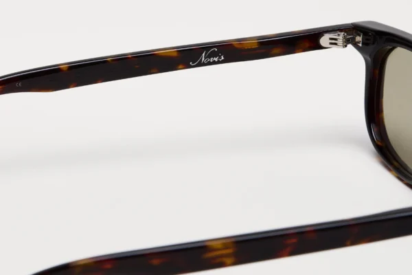 Chimi Novis Tortoise tortoise