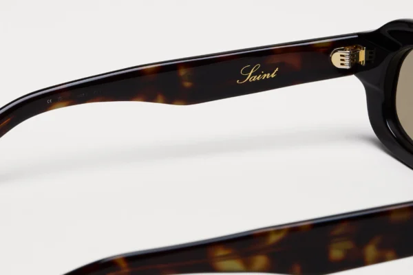 Chimi Saint Dusty Tortoise tortoise