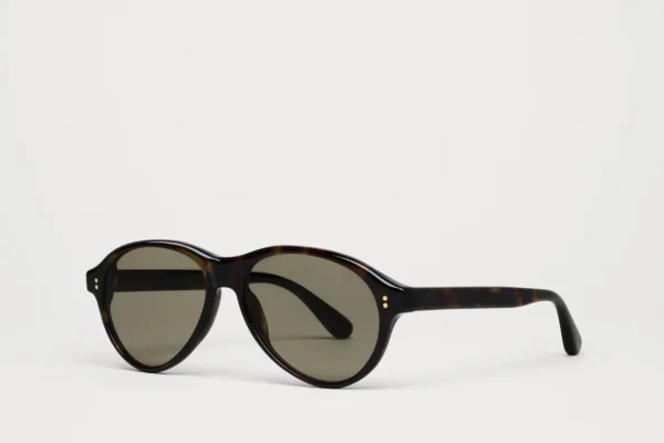 Chimi Tome Dusty Tortoise tortoise