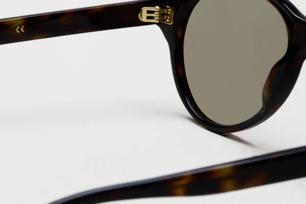 Chimi Tome Dusty Tortoise tortoise