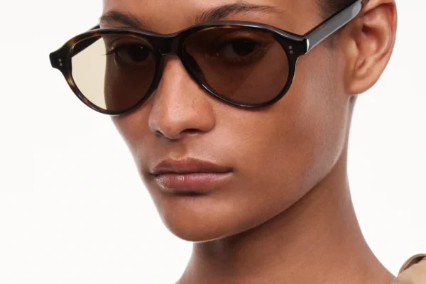 Chimi Tome Dusty Tortoise tortoise