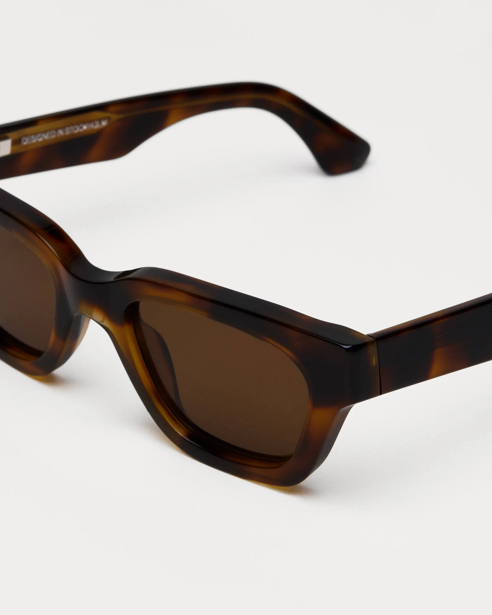 Chimi 11.2M Tortoise tortoise - immagine 3