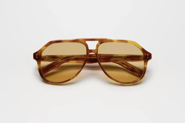 Chimi Doris Honey Tortoise tortoise