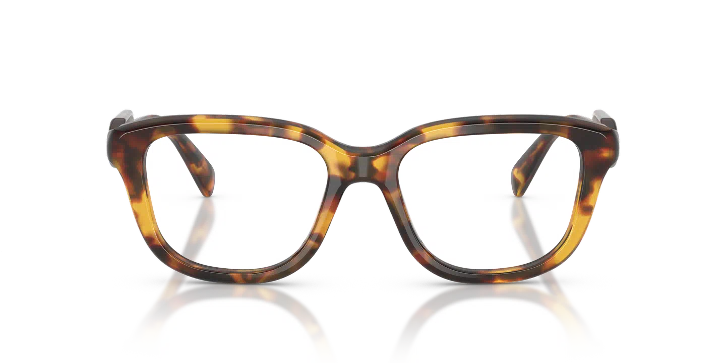 Miu Miu 02ZV VISTA 14L1O1