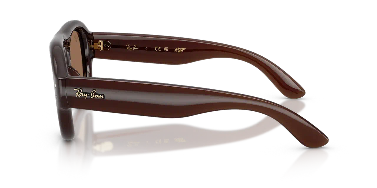 Ray-Ban 4925 SOLE 689673 - immagine 2